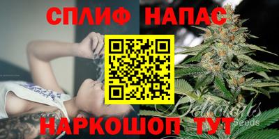 сатива Шахты