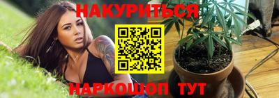 сатива Шахты