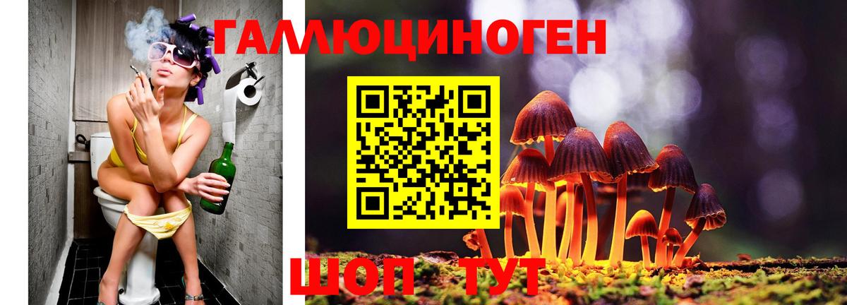 Псилоцибиновые грибы MAGIC MUSHROOMS  Вход с VPN  Псилоцибиновые грибы Psilocybine cubensis  Магадан 