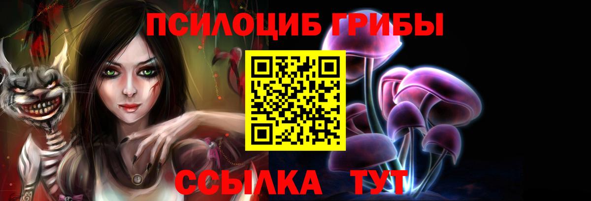 Псилоцибиновые грибы мицелий Магадан